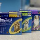 세심약국 이미지