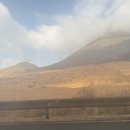 사기리 목장 | 차 유후인 당일치기 -1 : 사기리다이 전망대, 가성비...마부시, 긴린호수, 마유크림, 야마나이 목장 요거트