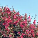 연세위너스재활의학과의원 이미지