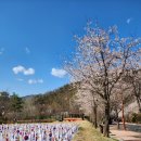 자유수호평화박물관주차장 이미지