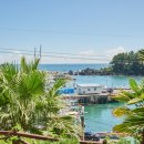 대포동산횟집 이미지