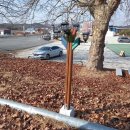 갈숲마을 이미지