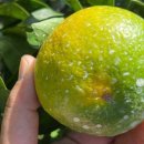 유라농장 이미지