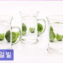 신일고시텔