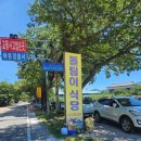 돌팀이횟집 이미지