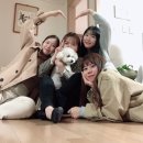 해물범벅