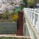 가산천 용인시민신문
