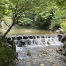 가마골로 이미지