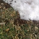 하남면사무소 이미지