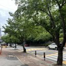 데미타세에스프레소바 | [부산 명지 카페] 명지 커피 맛집 데미타세 에스프레소바 솔직 후기🐠