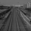 천안축구센터 이미지