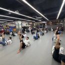 국가대표 효 태권도 네이버블로그