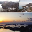 비둘기한국@ 이미지