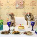 댕댕잇제과점 이미지