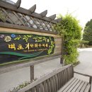 필승로(3) 티스토리