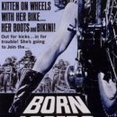 1967 패배자들The Born Losers 이미지