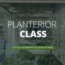 플랜테리어 수업 3월반 수강생 모집_6주차 / 실무중심 소수정예