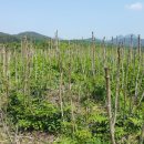 대규농장 이미지