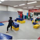 SK코리아태권도 이미지