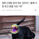 방구