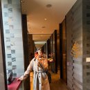 바디체인지클럽 | 서울 호텔| 포시즌스 서울 프리미엄킹룸 최고 럭셔리 포브스 선정 5성급 추천