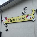 막둥이네마당