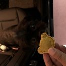 아반테이블 이미지