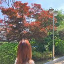 건아들 펜션 | 요즘 누가 시험공부하나요