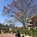 아리랑호텔 | 경주 숙소 추천 코모도호텔 디럭스 트윈룸과 아리랑 조식 뷔페 보문 레스토랑 이용 후기