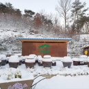 ㈜푸드나무 이미지