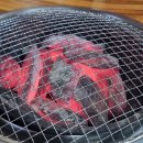 산좋고물좋고 | 산청 맛집 원조 지리산 참숯굴에서 즐긴 숯가마와 생갈비