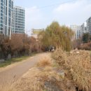 새마을교 이미지