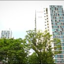 청솔마을.주공9단지.동아아파트 | 분당 금곡동 청솔주공9단지 18평 경매 시세 대비 3억 차이, 1회차 입찰 진행