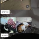 화순코사마트