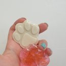 아르떼 퍼피 이미지