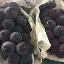 선진농원 이미지