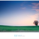 들판의추억목장 이미지