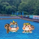 영인산자연휴양림 숲속야영장 네이버블로그