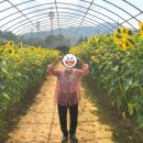 금구보건지소 이미지