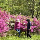 횡성노인복지센터 이미지