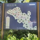 구좌읍사무소 | 제주 비자림 유모차 산책로 후기 | 아이와 걷기 좋은 숲속 힐링코스🌿