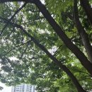 해모로단지내공인중개사사무소 | [광명동부동산] 7호선 역세권 초품아, 신축 대비 착한 가격의 '광명해모로이연'