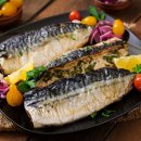 고등어밥도둑 이미지