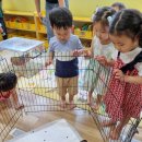 와우 동물농장 이미지