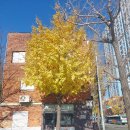 GS25부민캠퍼스 이미지