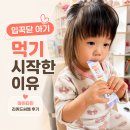 마이타민 리퀴드씨엠 후기 | 돌아기 밥태기 때 먹여본 이유
