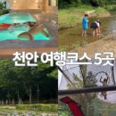 제나스테이 이미지