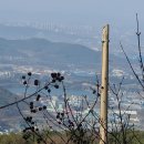 경기둘레길 안성42코스 이미지