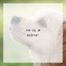 연세온플란트치과의원 이미지