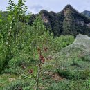 정선풍류펜션 | 정선펜션 정선풍류펜션 맑은 공기와 자연 속에 위치한 펜션으로 여행!